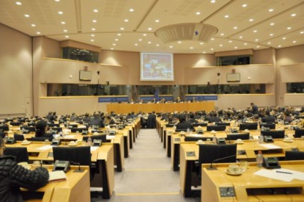 Sondaj: cum se vor împărţi mandatele după europarlamentare